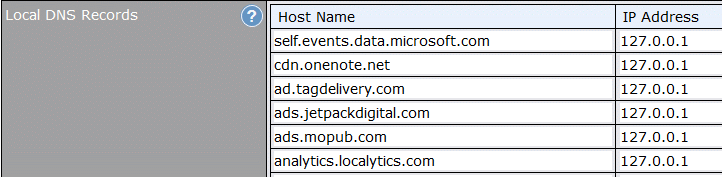 Local DNS records on the Pepwave Surf SOHO